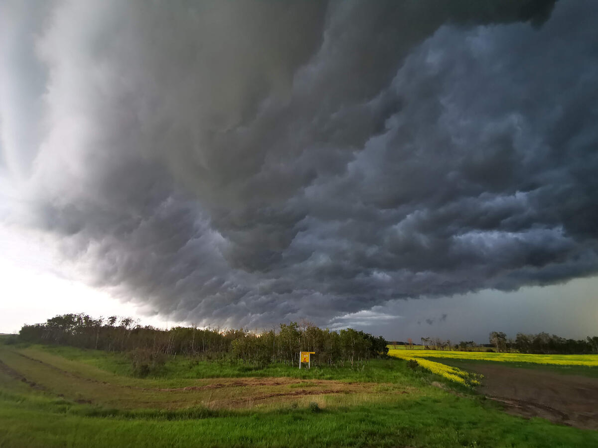 There's A Storm Coming